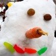 carrot-nose-potato-eyes-fish-mouth-snowman