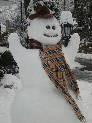happy-snowman-arms-hat-scarf-by-Danielaustinhall12.jpg
