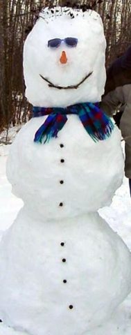 happy-snowman-by-Tatjana-Scheffler.jpg