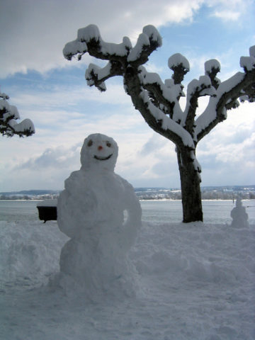 happy-snowman-with-arms-by-andreasmarx.jpg