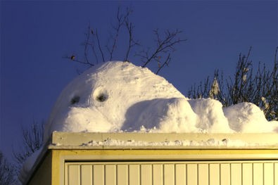 peek-a-boo-snowman-by-florian-kilzer.jpg