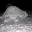 snow-turtle-sculpture