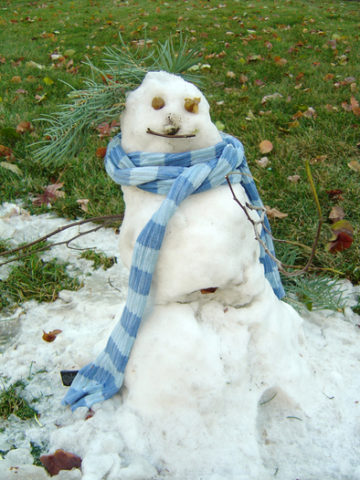 snowman-face-with-pine-by-laffy4k.jpg