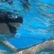 swimming-weather