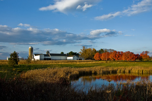 Kerrs-Farm-Pennington-NJ-by-nosha.jpg