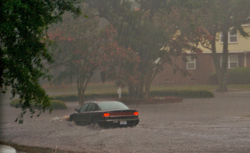 driving-through-flood-waters-by-the-life-of-bryan.jpg