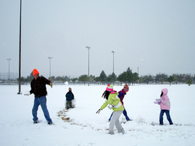 family-fun-snowball-fight-by-dmguz.jpg