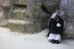 ice-age-may-be-here-photo-by-giorgio-montersino.jpg