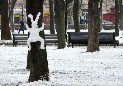 snow-bunny-on-tree-by-jonco.jpg