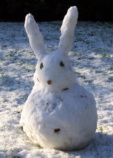 snow-bunny-public-domain.JPG