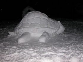 snow-turtle-sculpture-by-wedge-antilles-42.jpg