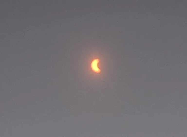 My view of the partial solar eclipse from Central Florida on April 8, 2024 -- while wearing protective lenses. 
