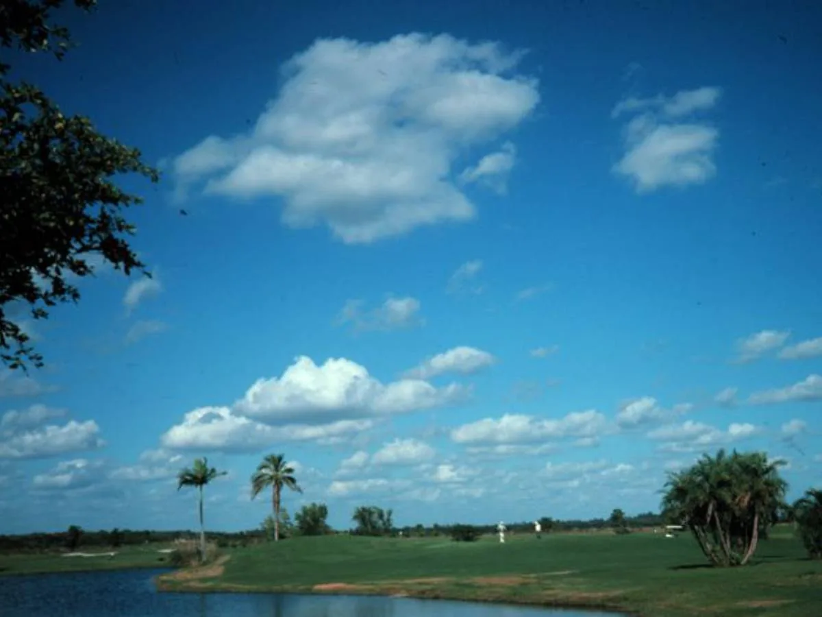 Example of scattered cumulus clouds. 