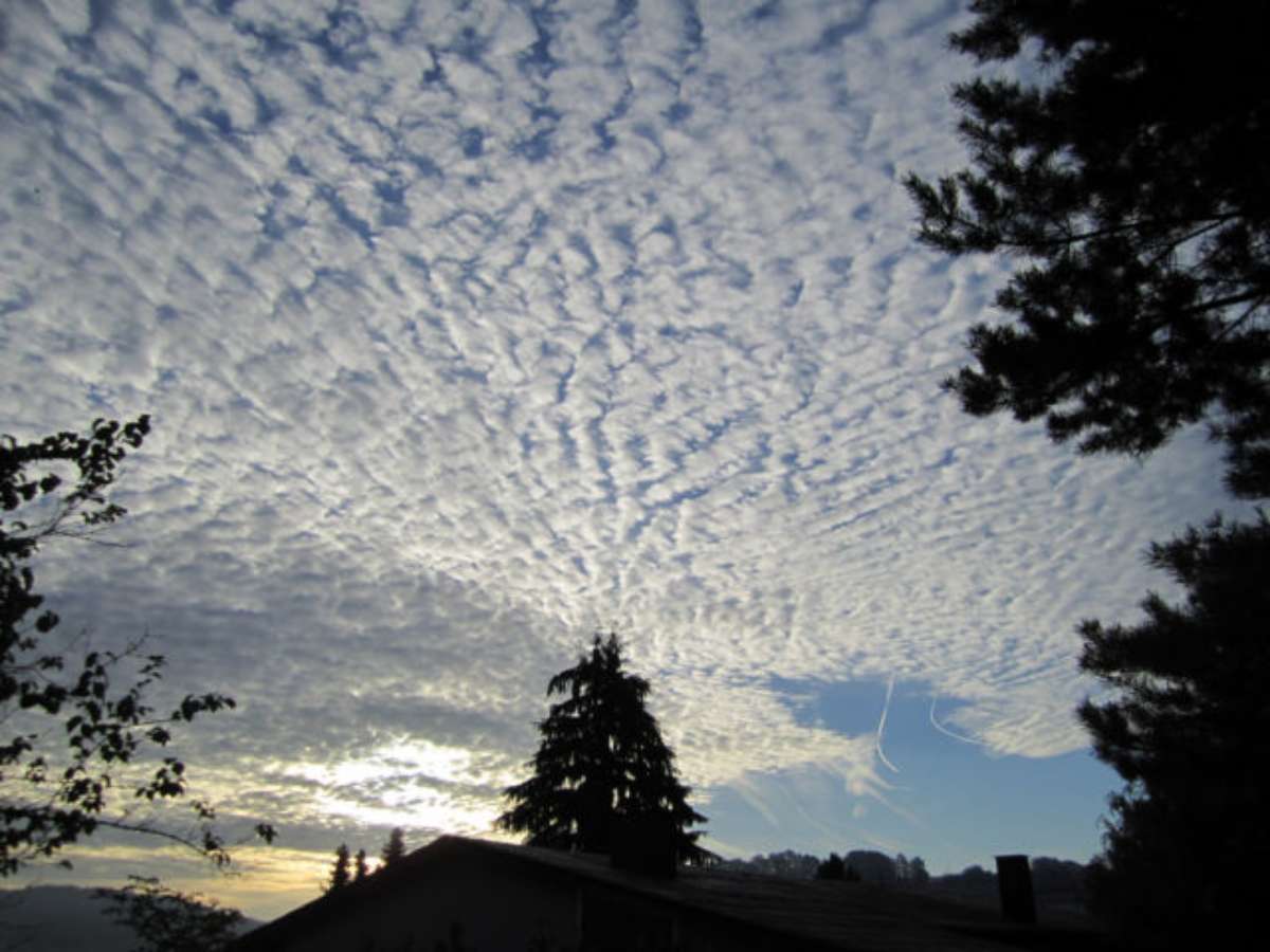 altocumulus-clouds