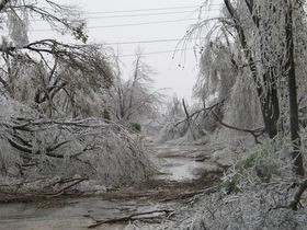 bad-ice-storm-tree-damage-by-Paul-L-McCord-Jr.jpg