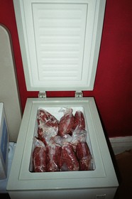 chest-freezer-with-fourth-side-of-beef-by-jrubinic.jpg