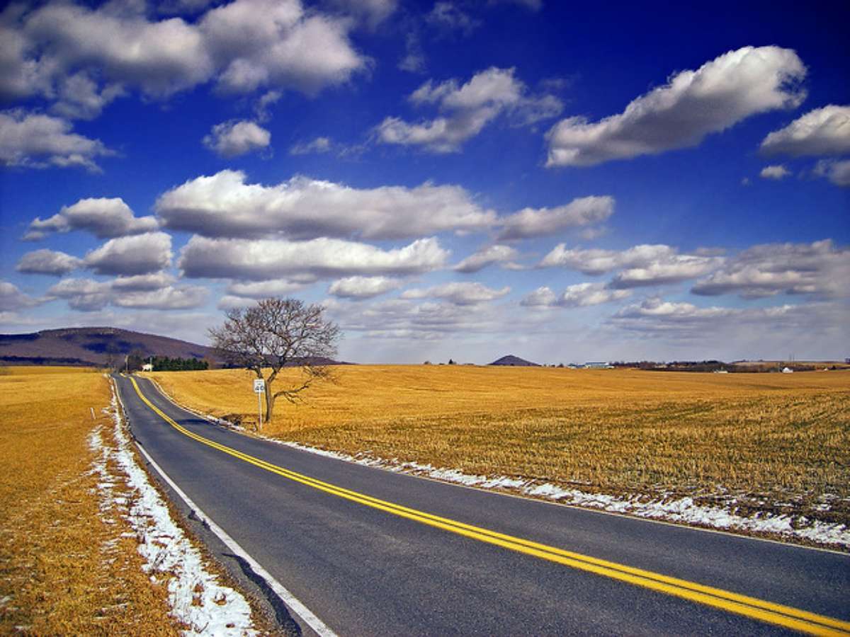 Cumulus Clouds