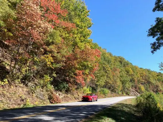 Is fall color affected by climate change? The surprising answers revealed! photo by Joshua at TheFunTimesGuide.com