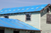fema-blue-roof-tarps-after-hurricane.jpg