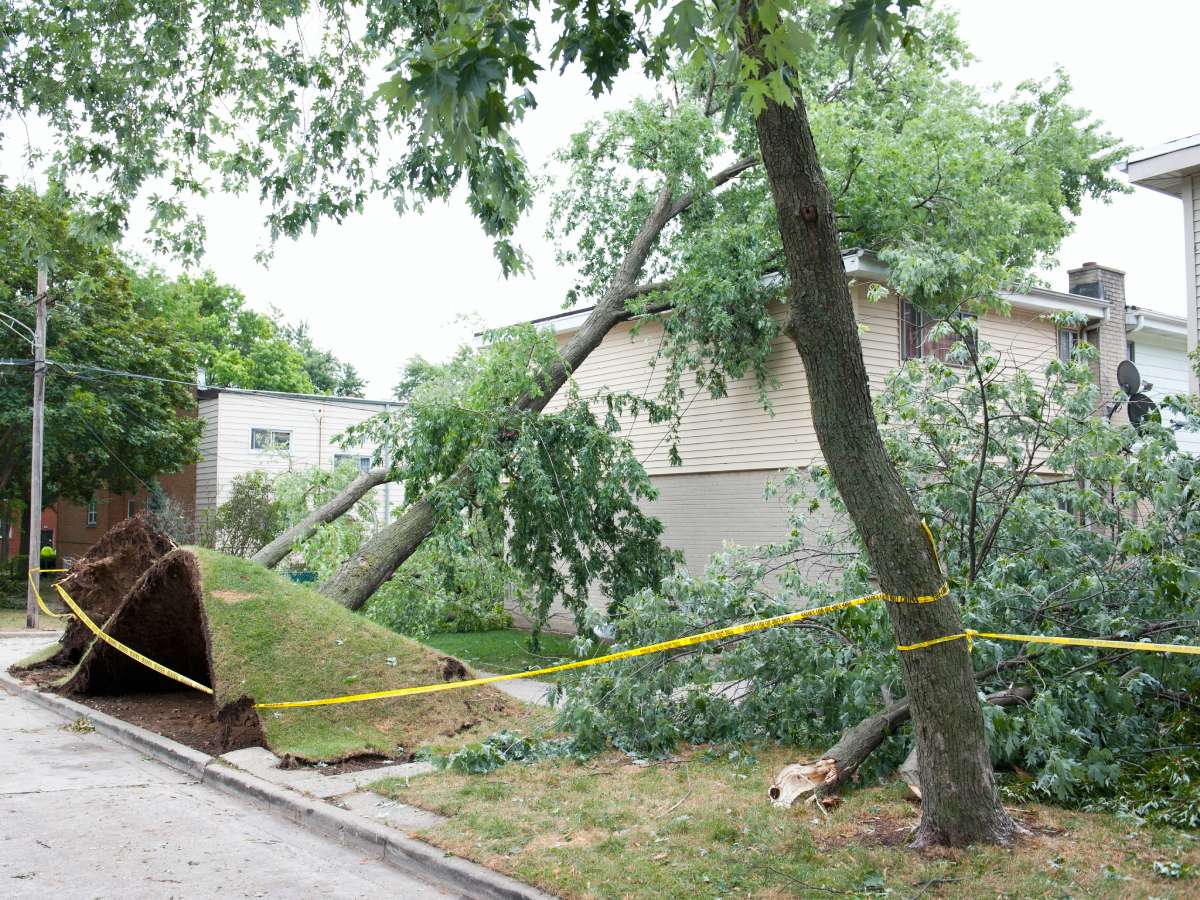 There are 3 official wind scales used to measure damage. Here's an explanation of each of them: the Beaufort Wind Scale, the Saffir-Simpson Hurricane Wind Scale, and the Fujita Tornado Damage Scale.