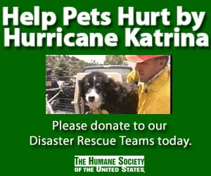 The Humane Society of the United States - consider a donation to HSUS to help the animals displaced by Hurricane Katrina.