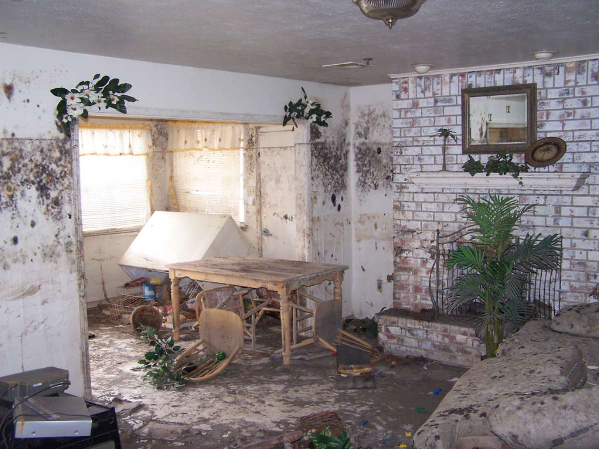 This is the inside of a house damaged by a hurricane. Reason #11 to protect your house from a hurricane NOW!