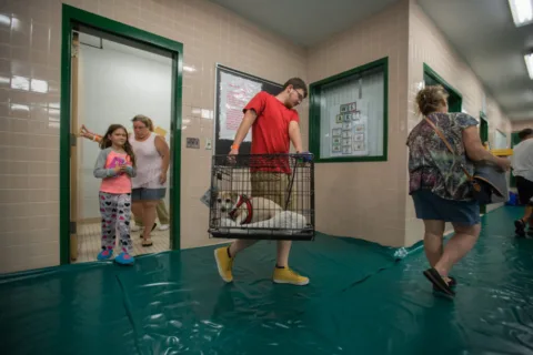 find a pet friendly hurricane shelter if hurricane evacuation is necessary