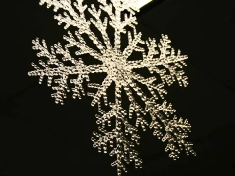 Snow flake shape and structure looks all the more beautiful and intricate when seen against a dark background.