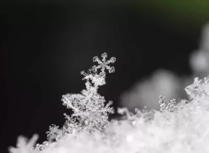 How To Capture And Save Snowflakes