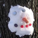 snowman-tree-face.jpg