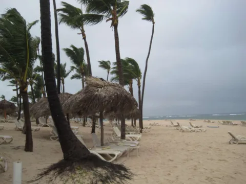 When a tropical depression hits, the wind and rain can really stir things up. 