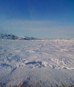 tundra-photo-by-shareski.jpg