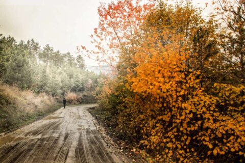 Why do seasons change? Find out here!