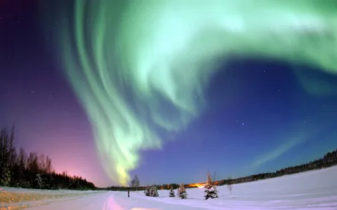 Aurora Borealis Northern Lights in the winter 