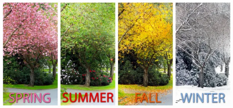 The four seasons are winter, spring, summer, and fall.
