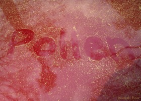 word-pollen-written-in-pollen-dust-by-boxercab.jpg